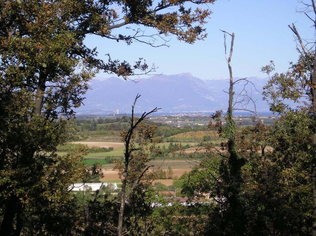 Agriturismo Dondino Cavriana Dış mekan fotoğraf