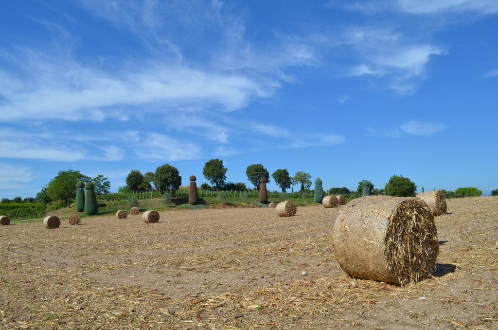 Agriturismo Dondino Cavriana Dış mekan fotoğraf