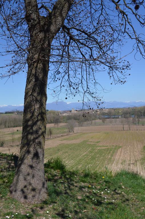 Agriturismo Dondino Cavriana Dış mekan fotoğraf