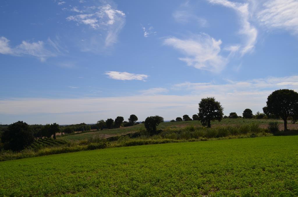 Agriturismo Dondino Cavriana Dış mekan fotoğraf