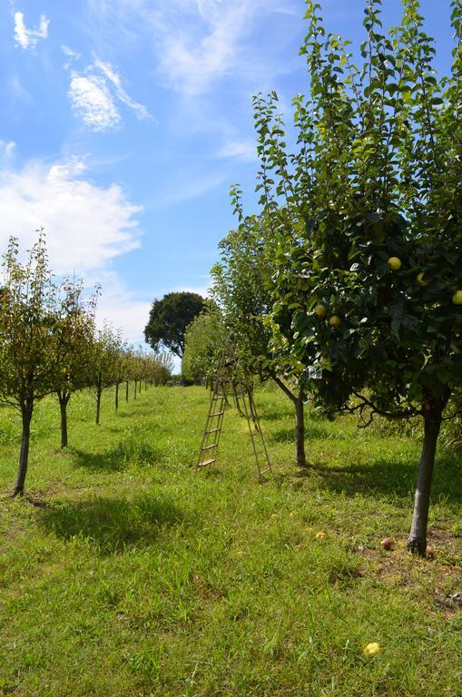 Agriturismo Dondino Cavriana Dış mekan fotoğraf
